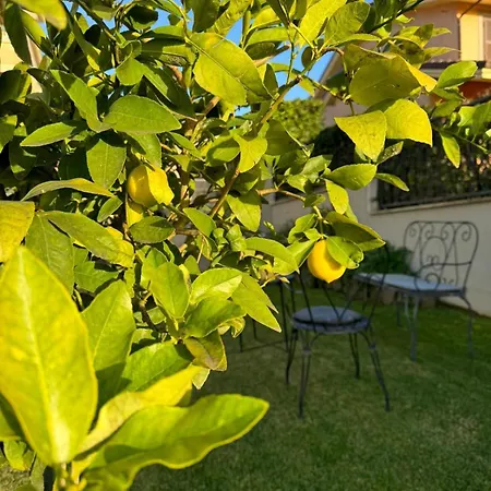 La Casa Di Gabry Superior Holiday home Albano Laziale